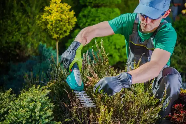 landscaping services Fort Polk South